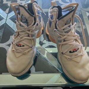 Nike LeBron Basketball Shoes
